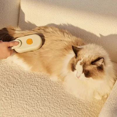 3-in-1 Steamy Pet Brush – Groom, Steam & Shine Instantly!